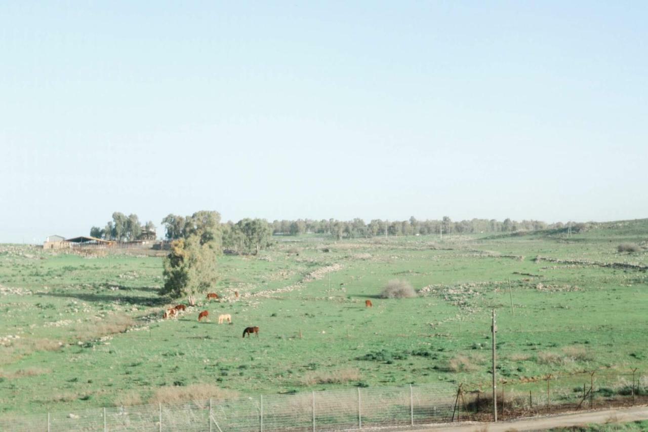 קדמת צבי Kidmat Tsvi Exterior foto